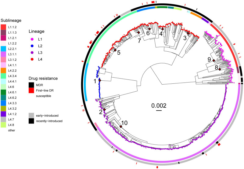 Fig 1