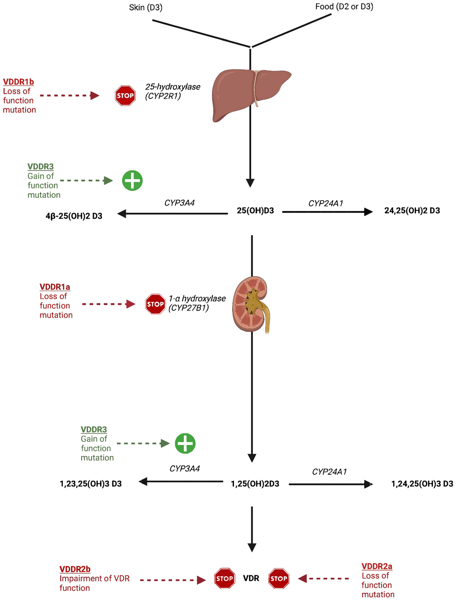 Figure 2: