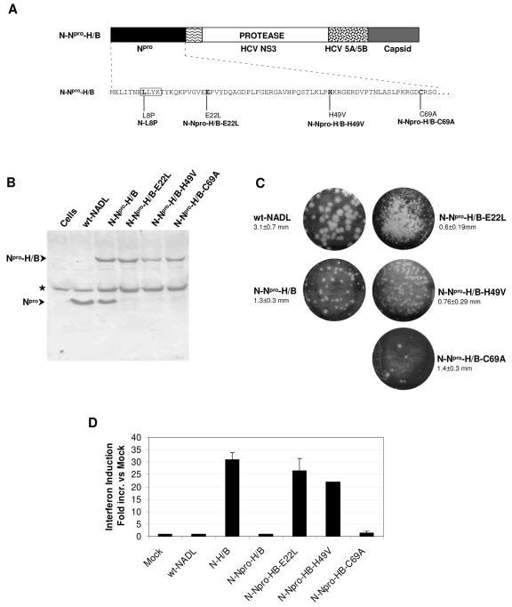 FIG. 5.