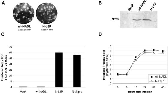 FIG. 6.