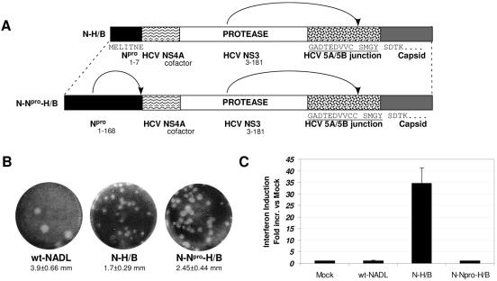 FIG. 4.