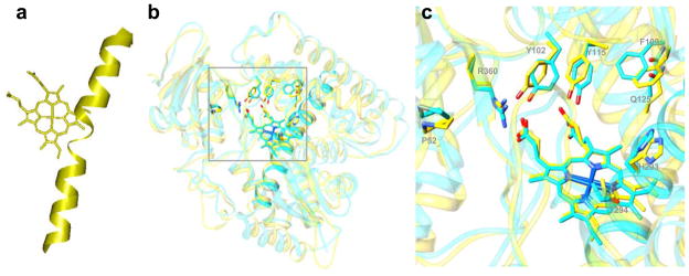 Fig. 8