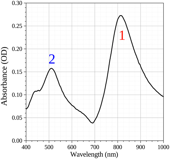 Figure 2