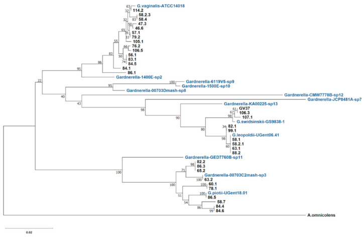 Figure 1