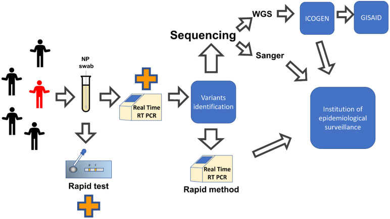 Figure 2