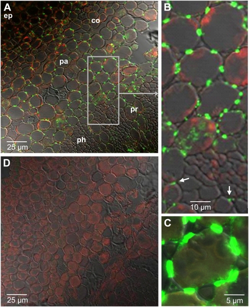 Figure 9.