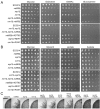 FIG 2