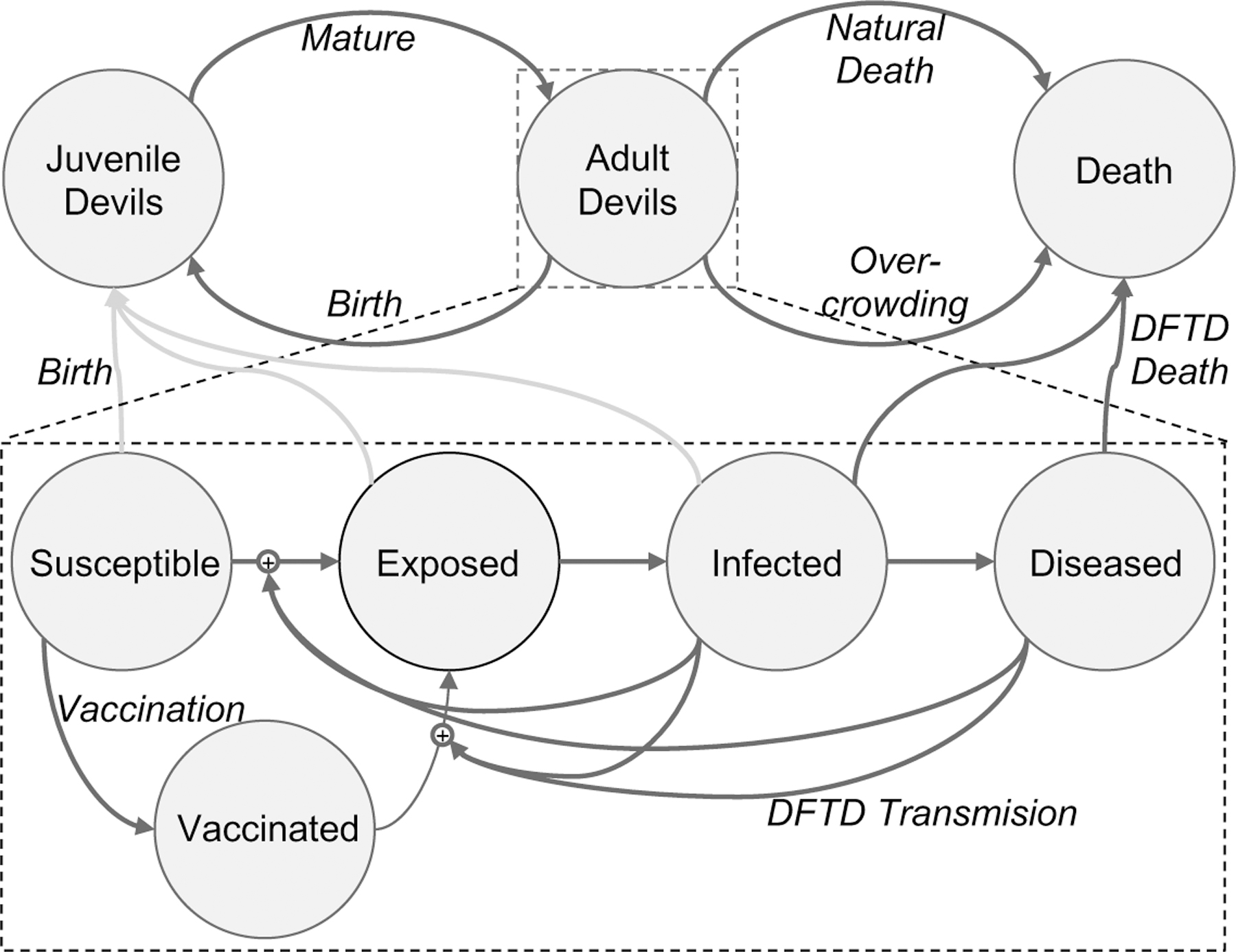 Figure 9: