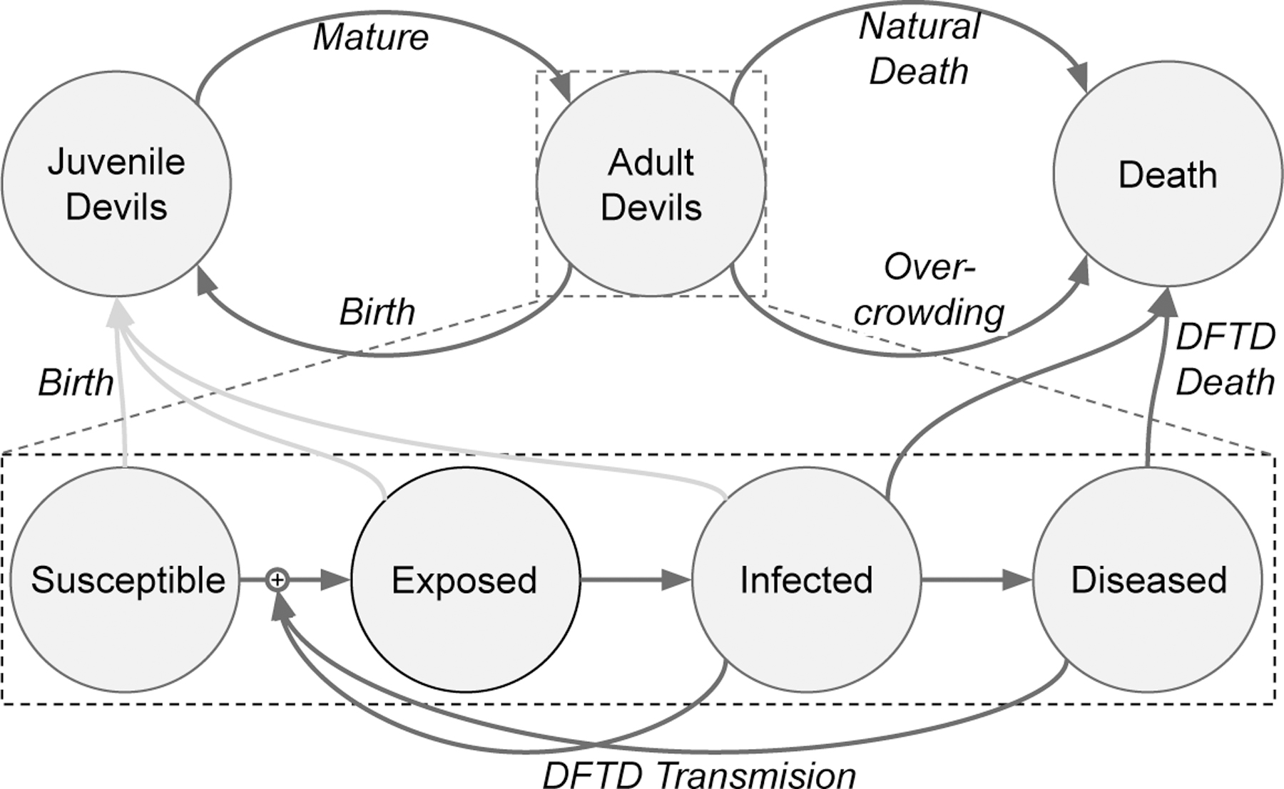 Figure 2: