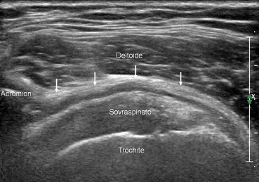 Fig. 7