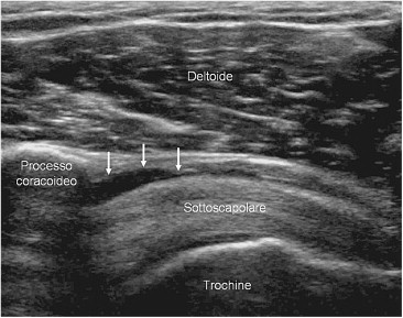 Fig. 8