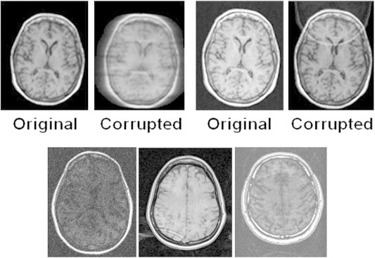 Fig. 2