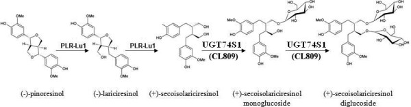 Figure 12