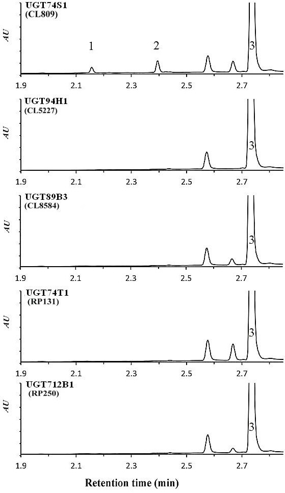 Figure 7