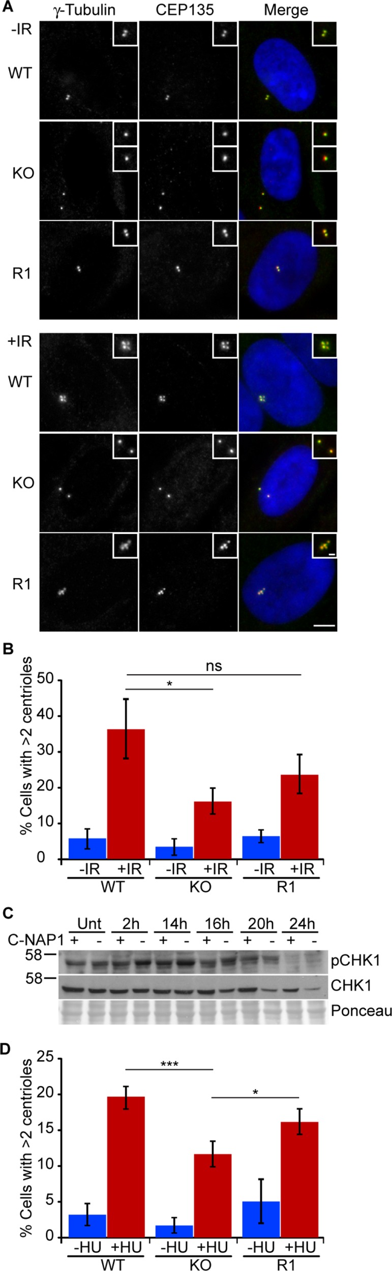 FIGURE 6: