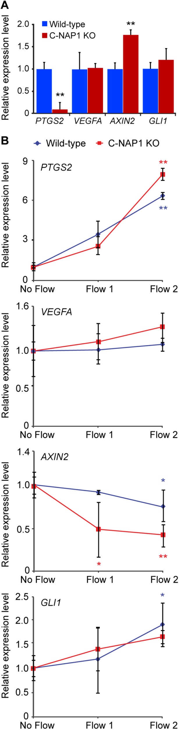 FIGURE 4: