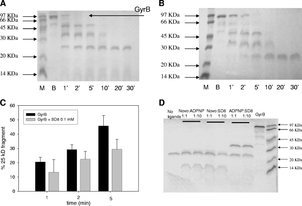 FIG. 7.