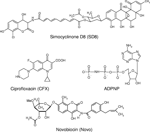 FIG. 1.