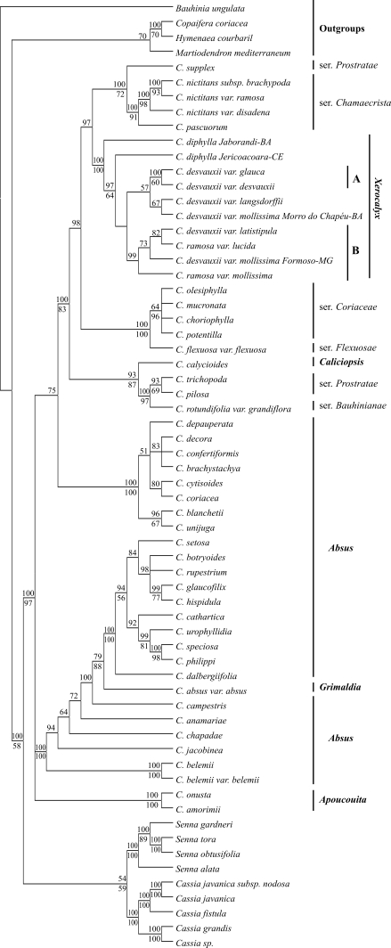 Figure 1-