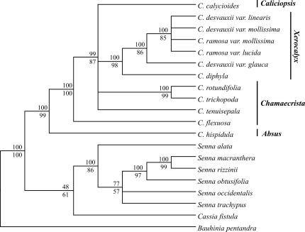 Figure 2-