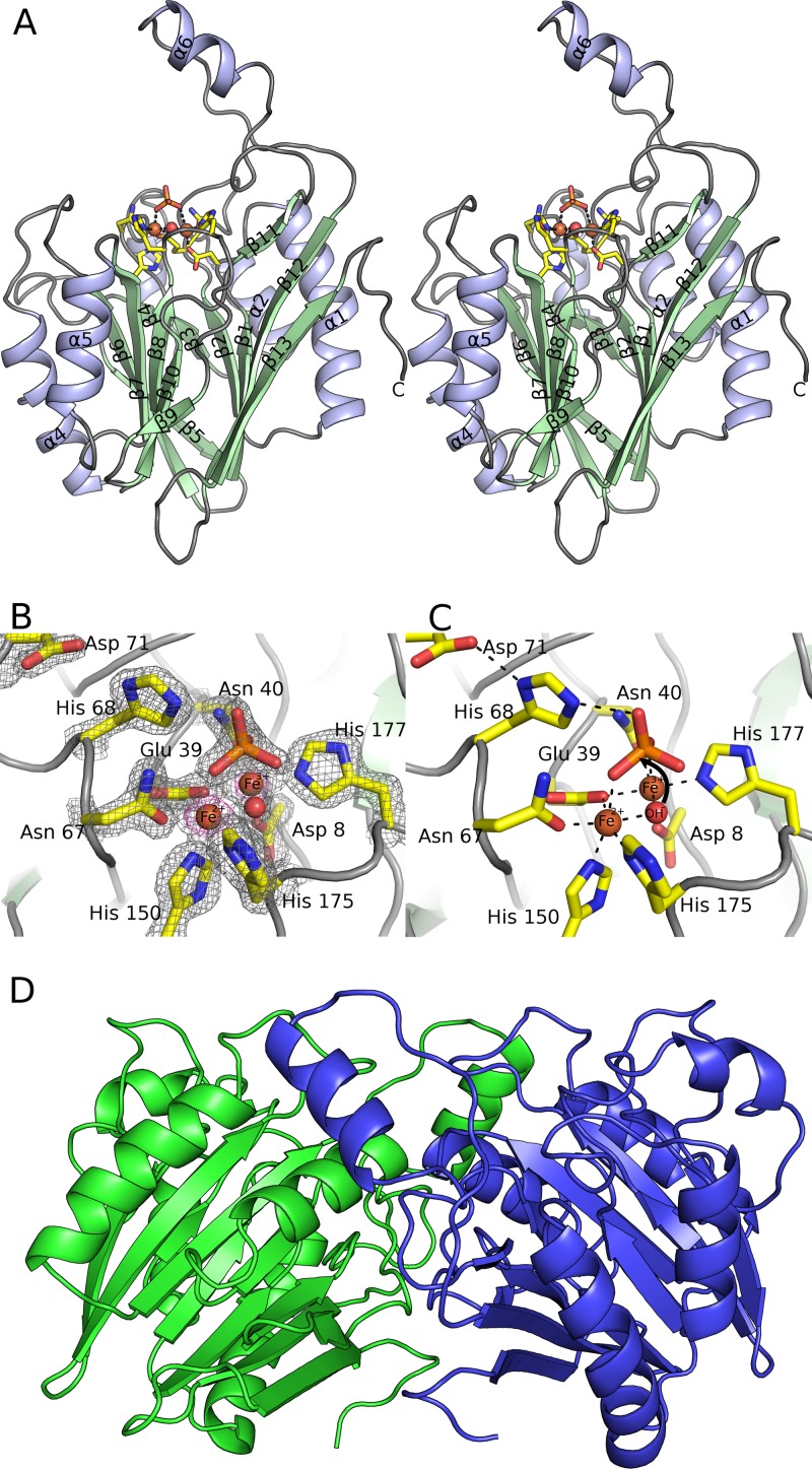 FIG 3