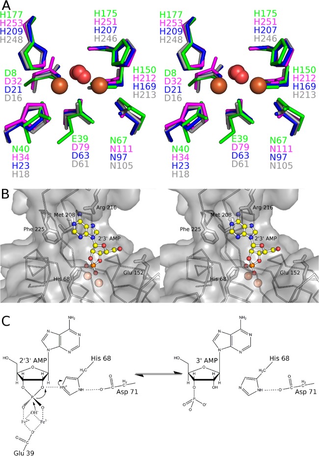 FIG 4