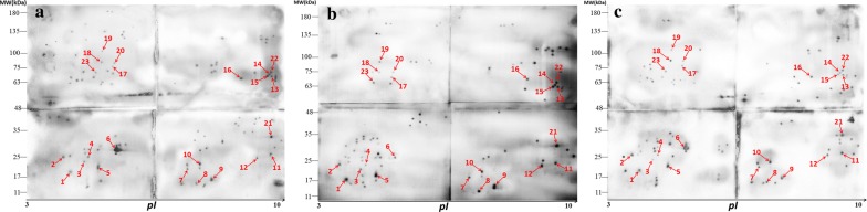 Fig. 2