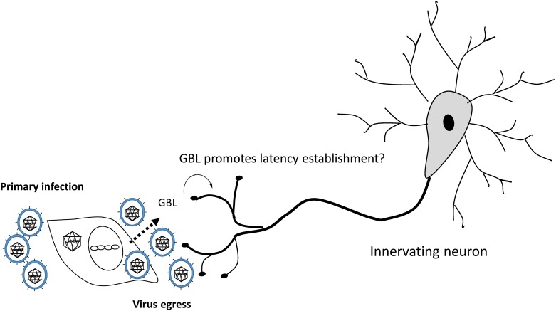 Fig 8