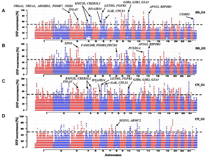 FIGURE 4