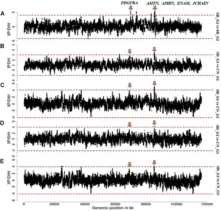 FIGURE 7