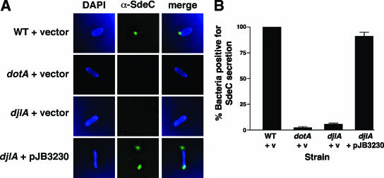 FIG. 8.