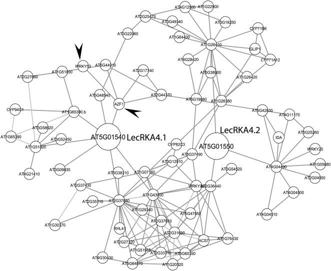 Figure 6.