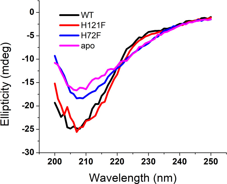 Figure 2—figure supplement 4.