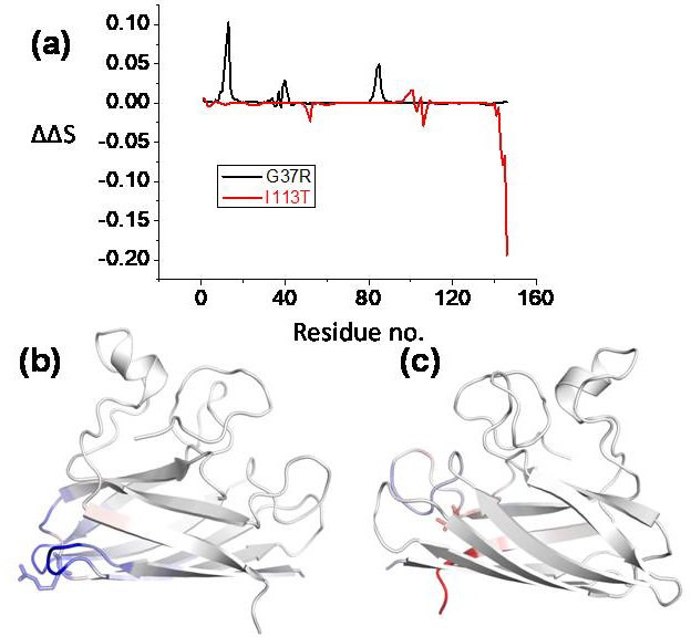 Figure 5—figure supplement 2.