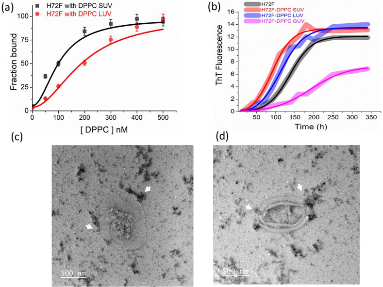 Figure 3—figure supplement 2.