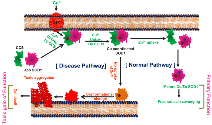 Figure 6.