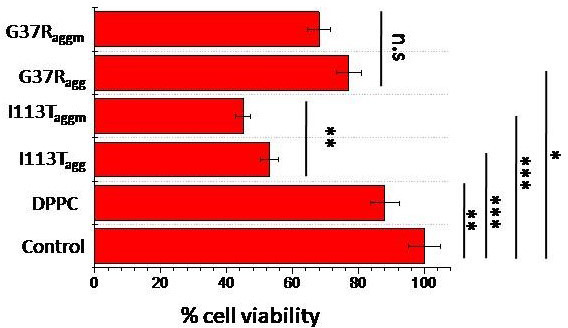 Figure 5—figure supplement 4.