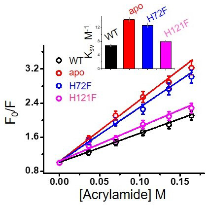 Figure 2—figure supplement 3.