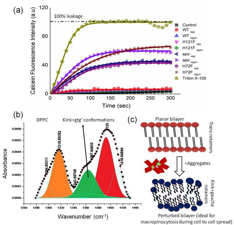 Figure 4—figure supplement 6.