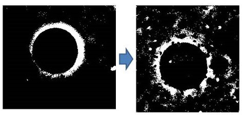 Figure 4—figure supplement 3.