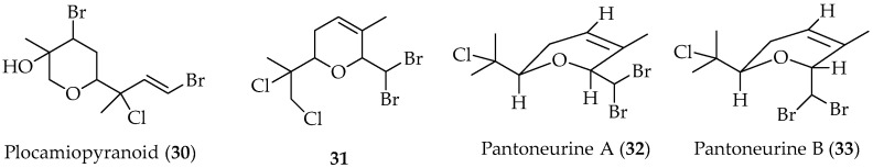 Figure 8