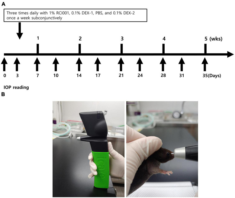 FIGURE 1