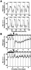 Fig 1.