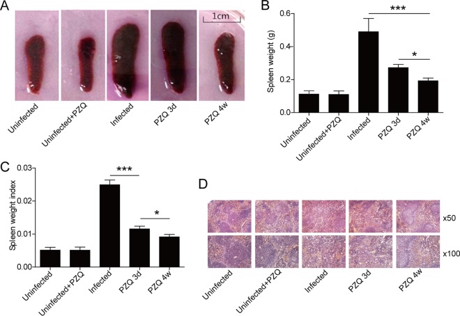 FIG 1