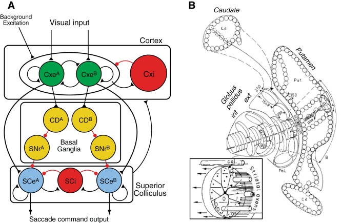 FIGURE 48.