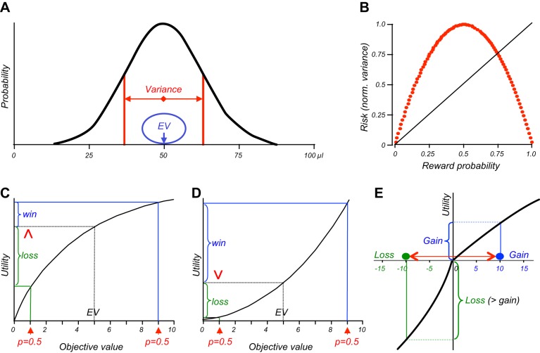 FIGURE 29.