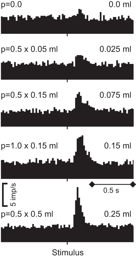 FIGURE 26.