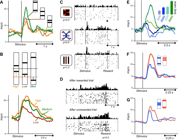 FIGURE 31.