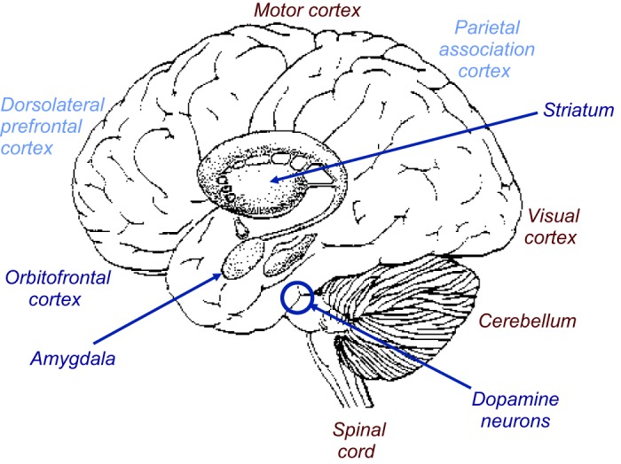 FIGURE 3.