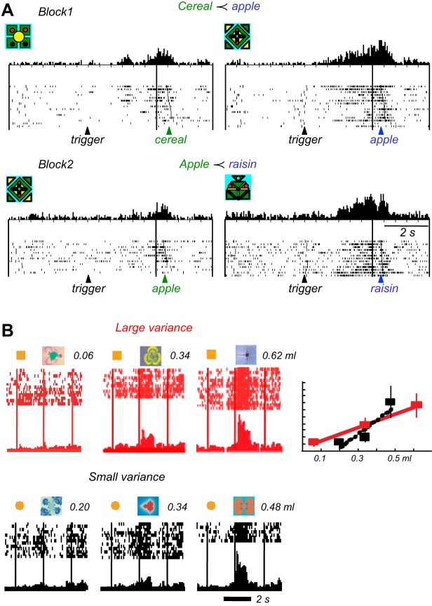 FIGURE 33.